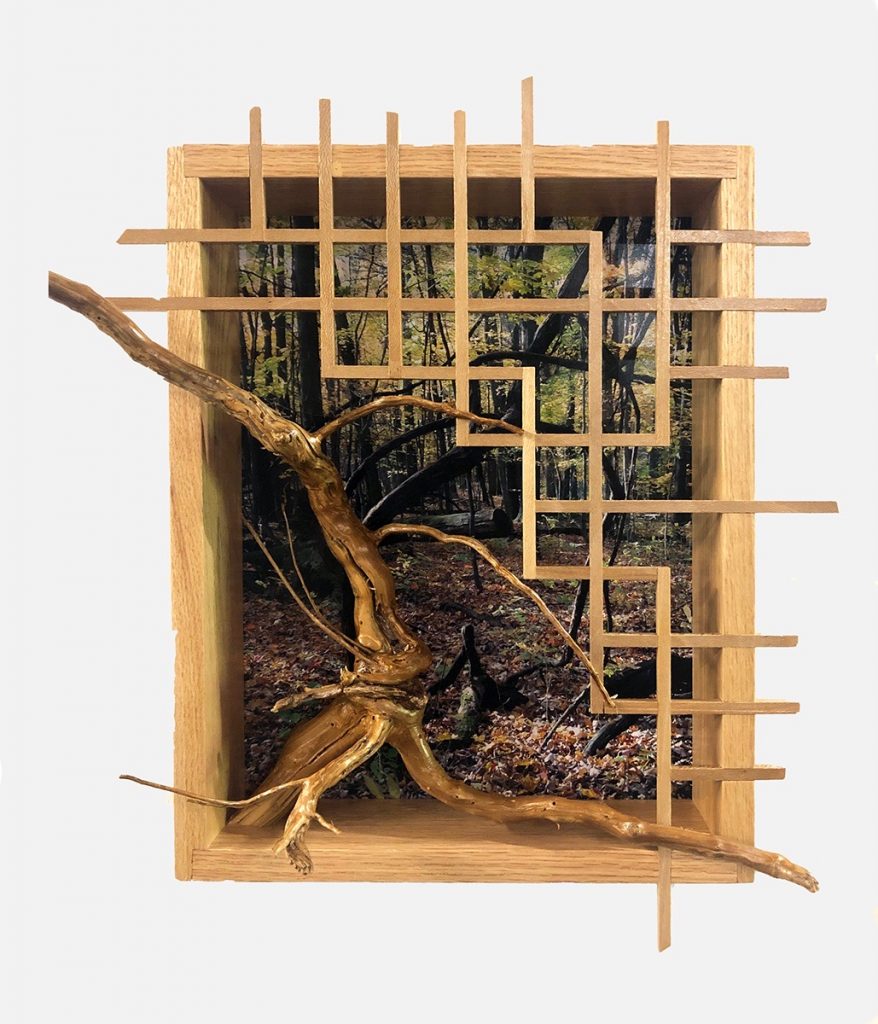 Eva M. Capobianco&nbsp;• <em>FLT, M16 - Stevenson Forest Preserve</em>&nbsp;• Photo, found and reused wood&nbsp;• 16″×&nbsp;18″×&nbsp;6″&nbsp;• $425.00
