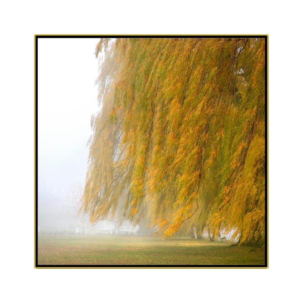 David Watkins Jr&nbsp;• <em>Willows in the Mist No.1</em>&nbsp;• Archival pigment on canvas&nbsp;• 30″×&nbsp;30″&nbsp;• $425.00