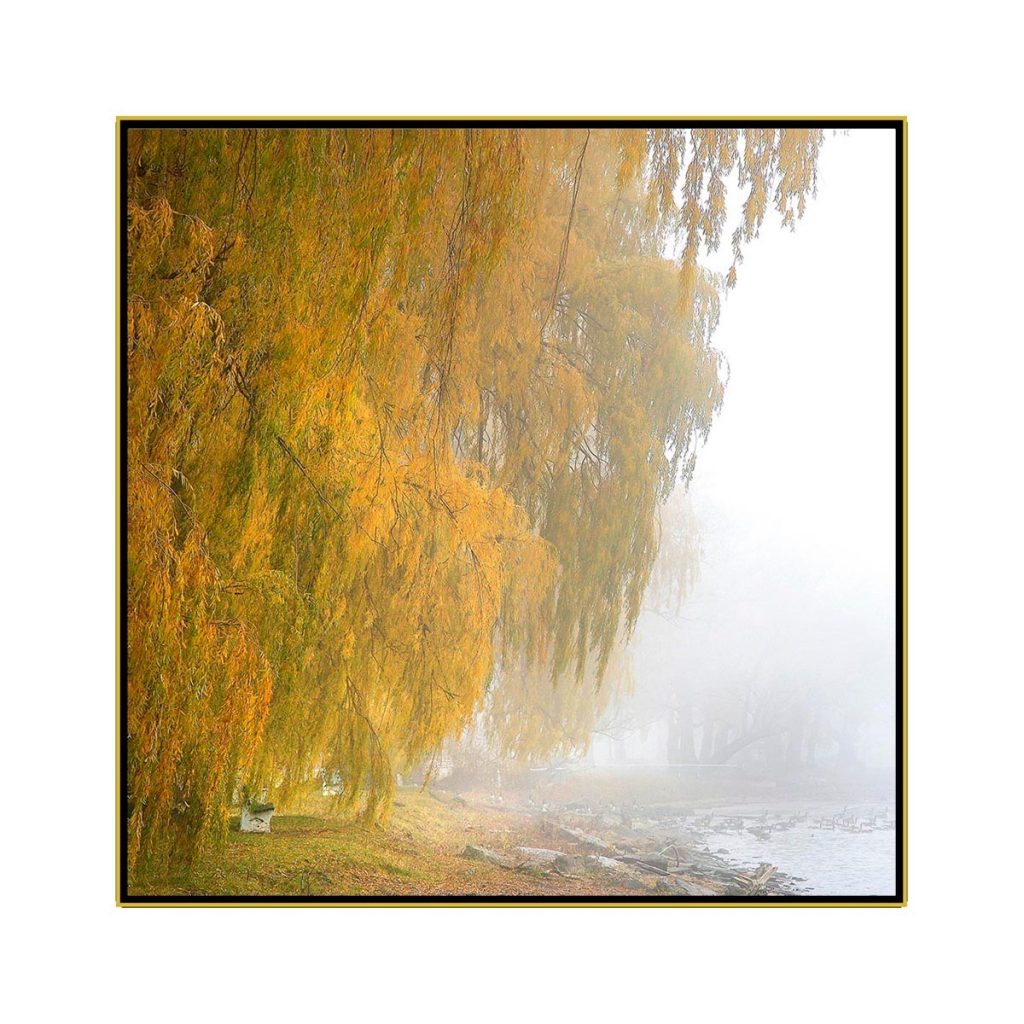 David Watkins Jr&nbsp;• <em>Willows in the Mist No.2</em>&nbsp;• Archival pigment on canvas&nbsp;• 30″×&nbsp;30″&nbsp;• $425.00
