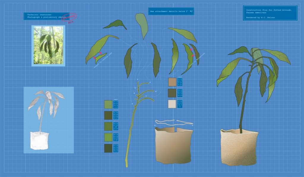 Margy Nelson&nbsp;• <em>Blueprint for an Avocado</em>&nbsp;• Limited edition digital print&nbsp;• 22″×&nbsp;14″&nbsp;• $220.00
