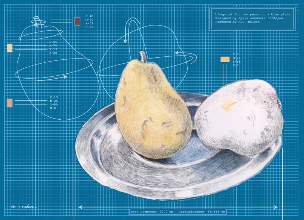 Margy Nelson&nbsp;• <em>Blueprint for Two Pears</em>&nbsp;• Limited edition digital print&nbsp;• 18″×&nbsp;14″&nbsp;• $180.00