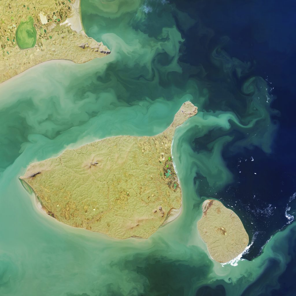 Jay Hart&nbsp;• <em>East Siberian Islands</em>&nbsp;• Inkjet print of Landsat imagery&nbsp;• 24″×&nbsp;24″&nbsp;• $300.00<div class="fb-text&quot><p style="margin-top:5px; text-align:center; font-size: 0.8em; ">These two arctic outliers to Siberia are ice free each summer, and they are simple places with no accumulations of snow, or of meltwater. They have little to suggest to our climate change debate, except that there will be an earth at the other end of it all - it will look something like this. There may not be many humans around to enjoy it. Some population may move to livable habitats which are currently buried under domed ice - the Queen Mauds or Gamburtsevs in Antarctica, or the Blosseville Coast or Axel Heiberg in the Arctic. A supply of water is critical, among many other hard-to-meet needs. If we can mitigate a bit, we may survive in some way. </p></div>