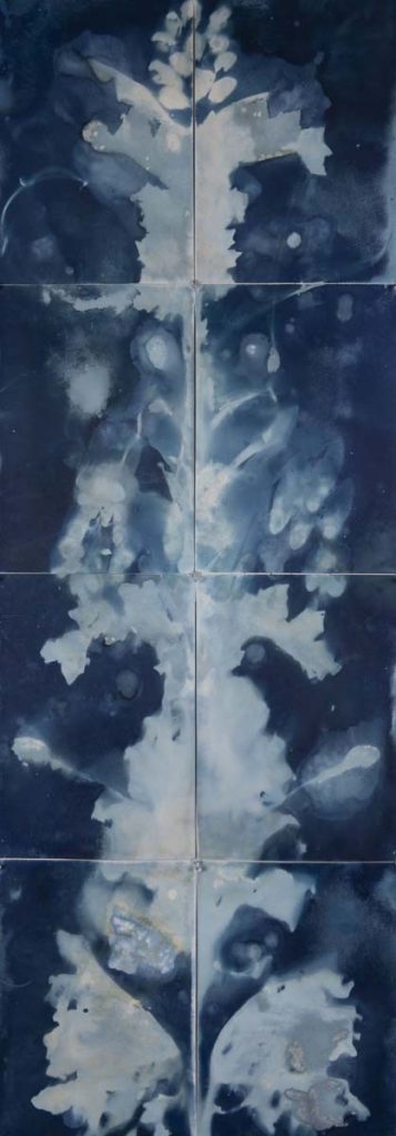Christine Chin&nbsp;• <em>Untitled (Ara Pacis #3)</em>&nbsp;• Cyanotype&nbsp;• 47″×&nbsp;17″&nbsp;• $600.00