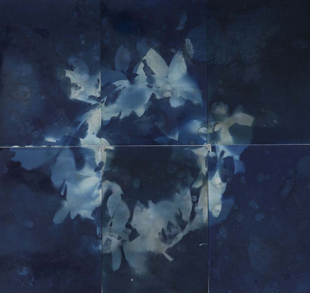 Christine Chin&nbsp;• <em>Untitled (Laurel #3)</em>&nbsp;• Cyanotype&nbsp;• 24″×&nbsp;25″&nbsp;• $550.00