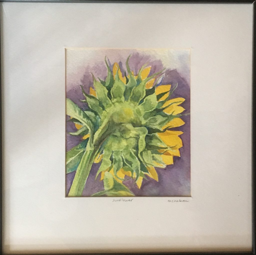 Margy Nelson&nbsp;• <em>Sunflower for Peace</em>&nbsp;• Watercolor&nbsp;• 13″×&nbsp;13″&nbsp;• $140.00