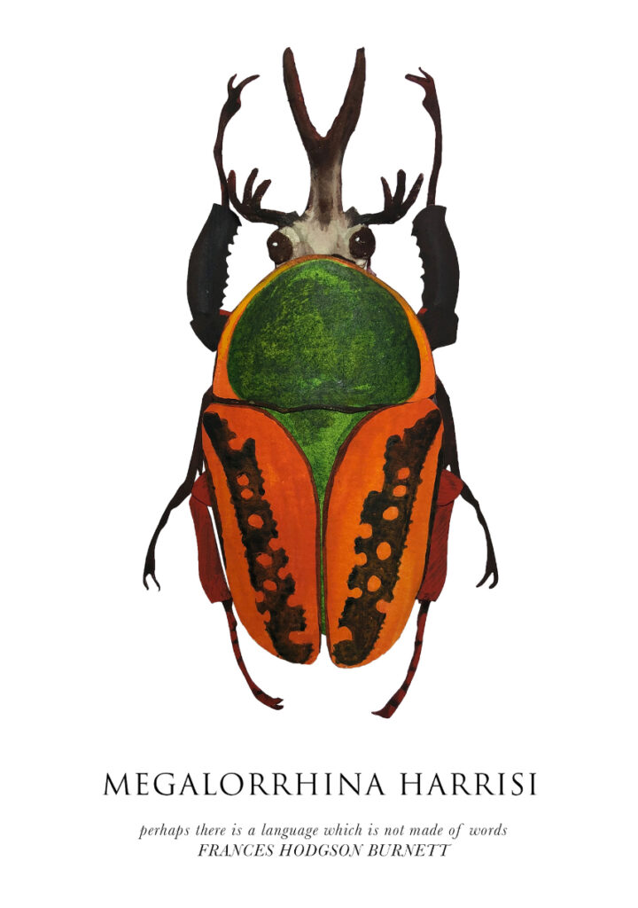 Carla Elizabeth DeMello&nbsp;• <em>Megalorrhina harrisi</em>&nbsp;• Sculpted paper and gouache&nbsp;• 7″×&nbsp;9″&nbsp;• $180.00