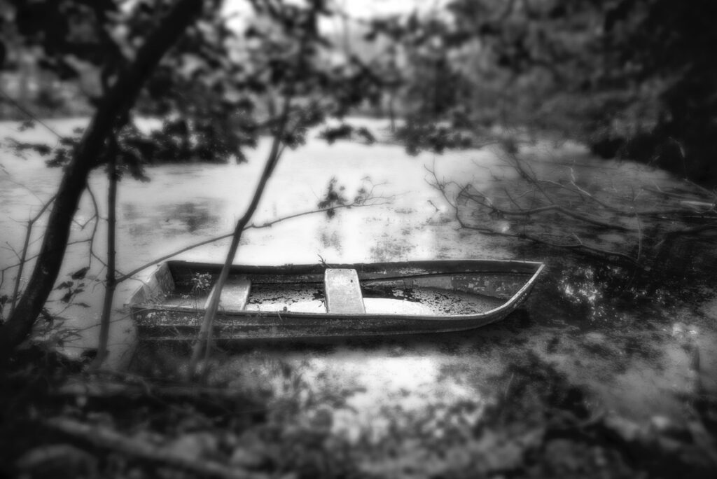 Ann Cady&nbsp;• <em>Half Full</em>&nbsp;• Photograph&nbsp;• $250.00