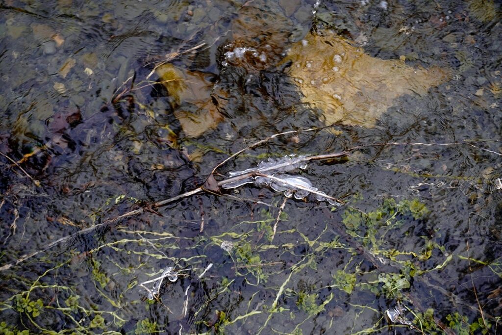 Randi Millman-Brown&nbsp;• <em>Winter/Spring Stream #2</em>&nbsp;• Metal photographic print&nbsp;• $400.00