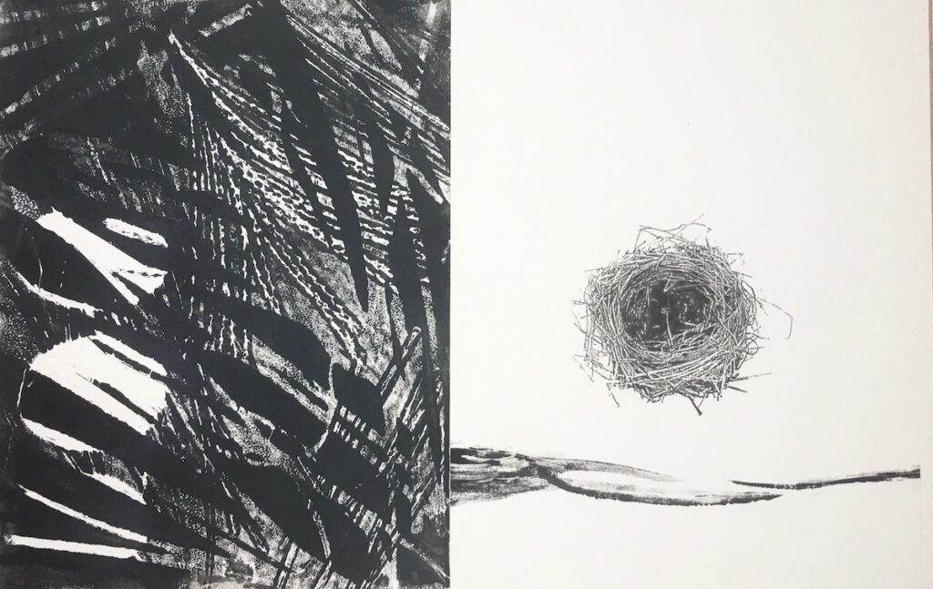 Carol Spence&nbsp;• <em>Nest</em>&nbsp;• Mixed media&nbsp;• 12″×&nbsp;18″&nbsp;• $250.00<a class="purchase" href="https://state-of-the-art-gallery.square.site/product/carol-spence-nest/1291" target="_blank">Buy</a>