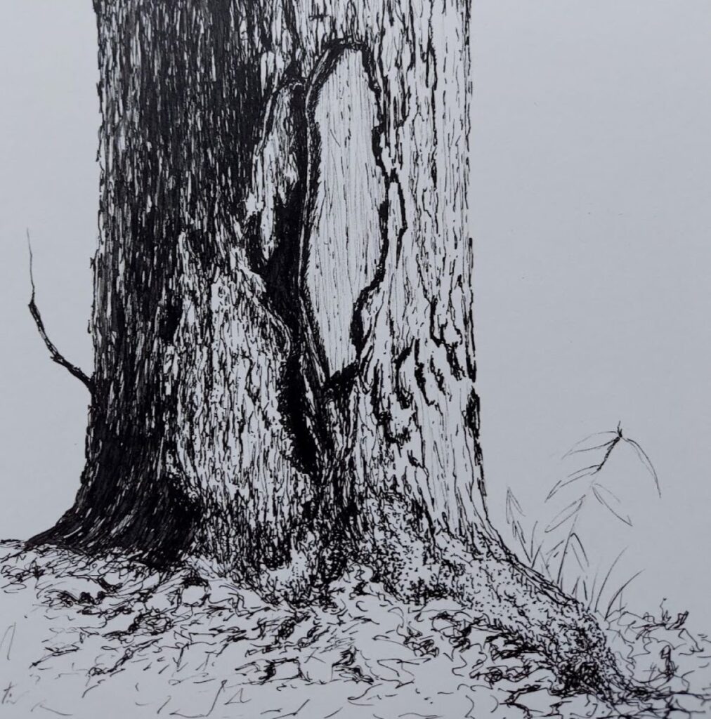 Annemiek Haralson&nbsp;• <em>Above the Roots</em>&nbsp;• Ink pen on paper&nbsp;• 6″×&nbsp;6″&nbsp;• $75.00