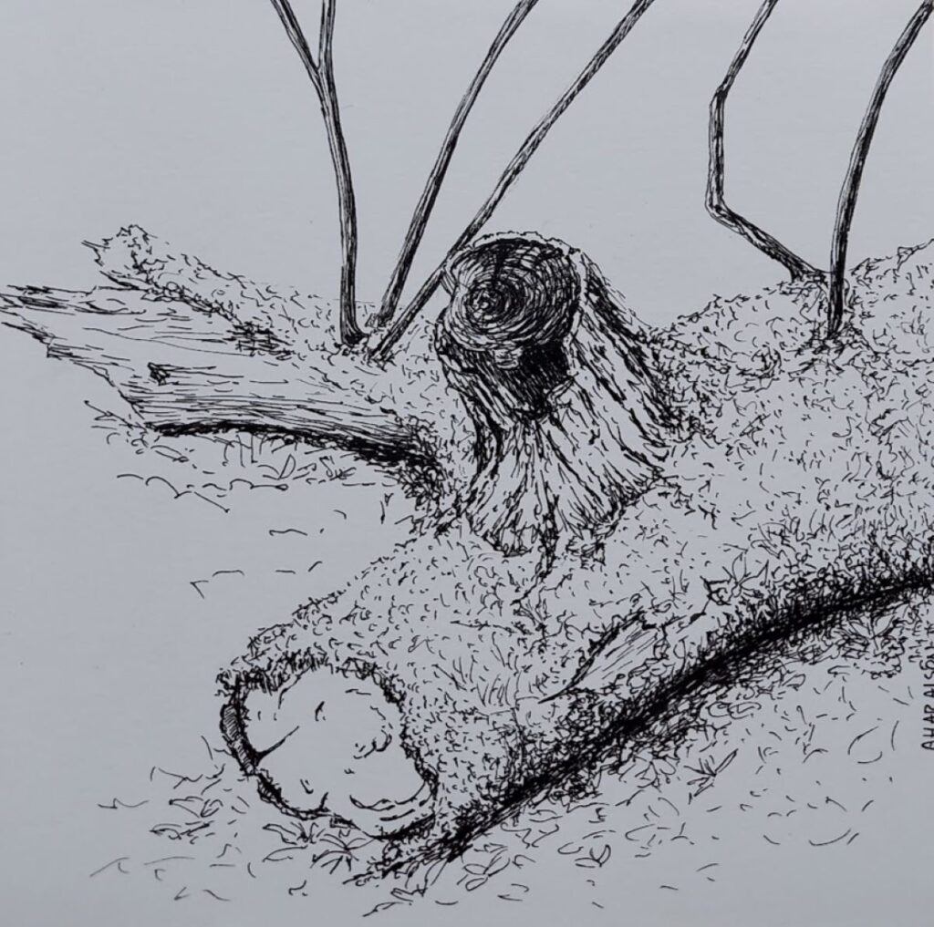 Annemiek Haralson&nbsp;• <em>Sprouting Again</em>&nbsp;• Ink pen on paper&nbsp;• 6″×&nbsp;6″&nbsp;• $75.00
