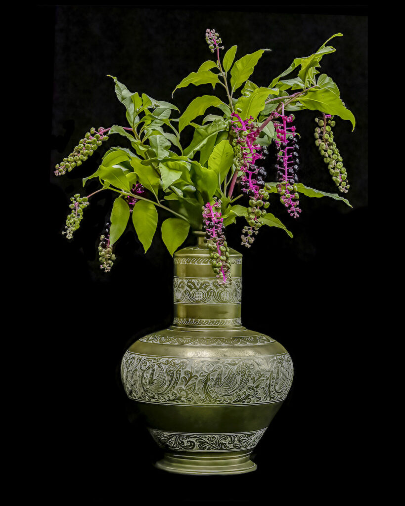 Nancy V. Ridenour&nbsp;• <em>Bronze Lamp and Pokeweed</em>&nbsp;• Digital print on canvas&nbsp;• 16″×&nbsp;20″&nbsp;• $150.00