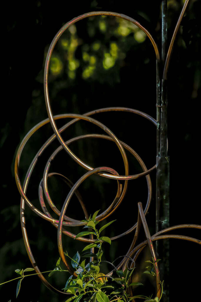 Nancy V. Ridenour&nbsp;• <em>Copper Sculpture and Diplodenia</em>&nbsp;• Digital print on canvas&nbsp;• 20″×&nbsp;30″&nbsp;• $185.00