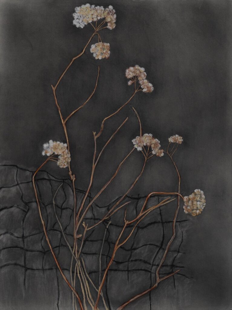 Susan Weisend&nbsp;• <em>Nightfall</em>&nbsp;• Powdered graphite, pastel&nbsp;• 30″×&nbsp;40″&nbsp;• $1,800.00