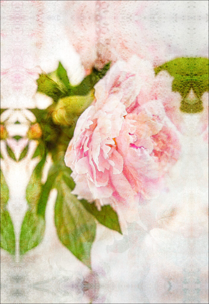 David Watkins Jr&nbsp;• <em>Sarah Bernheart</em>&nbsp;• Archival pigment print&nbsp;• 20″×&nbsp;24″&nbsp;• $215.00