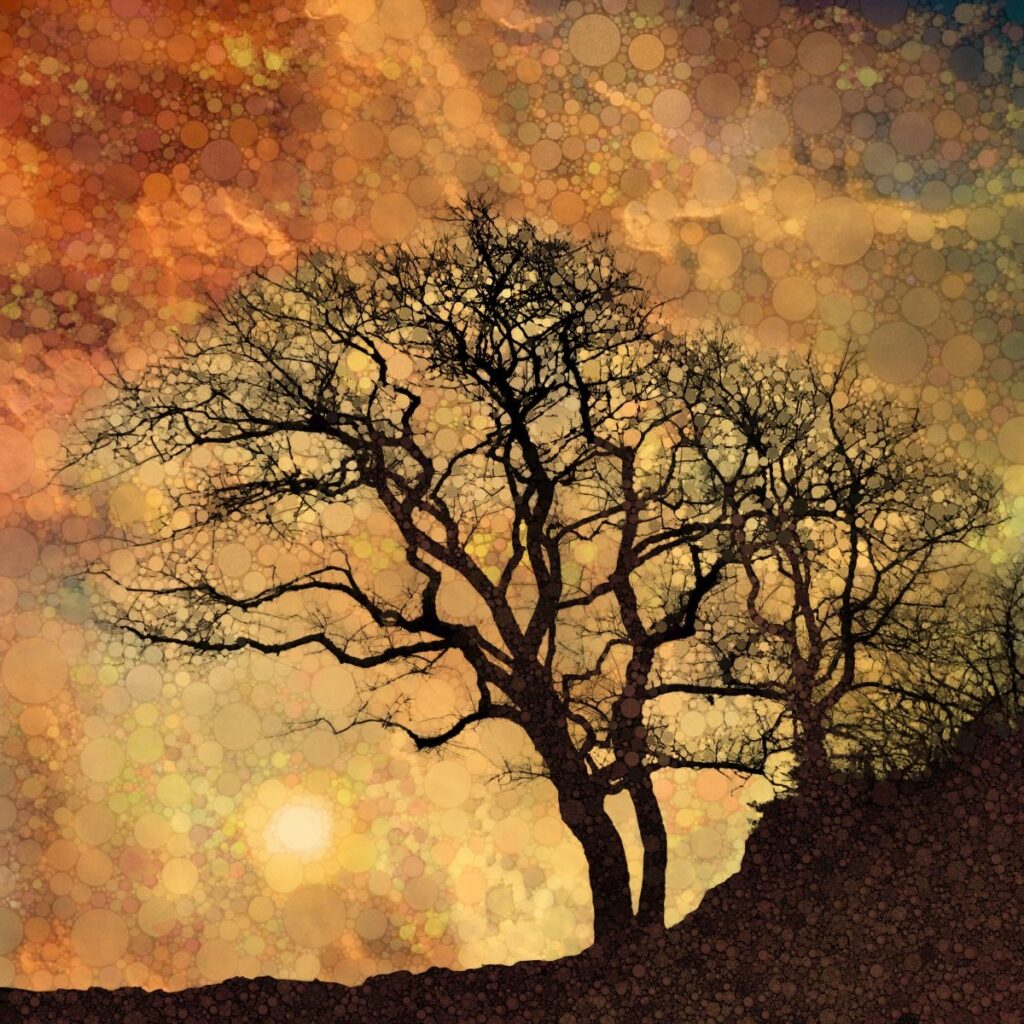 Daniel McPheeters&nbsp;• <em>Saffron</em>&nbsp;• Mixed media on panel&nbsp;• 16″×&nbsp;16″&nbsp;• $150.00