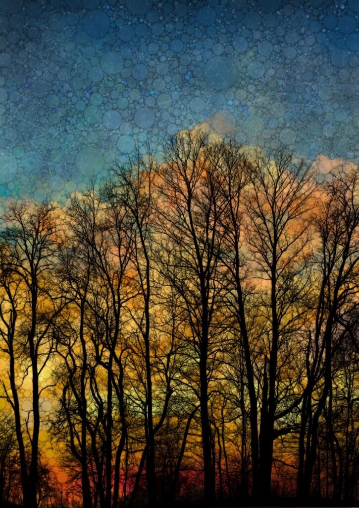 Daniel McPheeters&nbsp;• <em>Southwest Ridge</em>&nbsp;• Mixed media on panel&nbsp;• 17″×&nbsp;24″&nbsp;• $200.00
