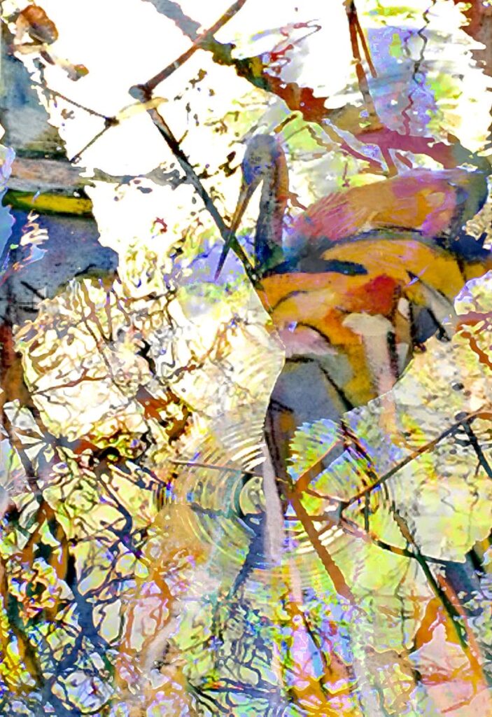 Patricia Brown&nbsp;• <em>Greetings from Great Egret of Red Bug Slough, Florida</em>&nbsp;• Archival digital collage print&nbsp;• 4″×&nbsp;6″&nbsp;• $68.00