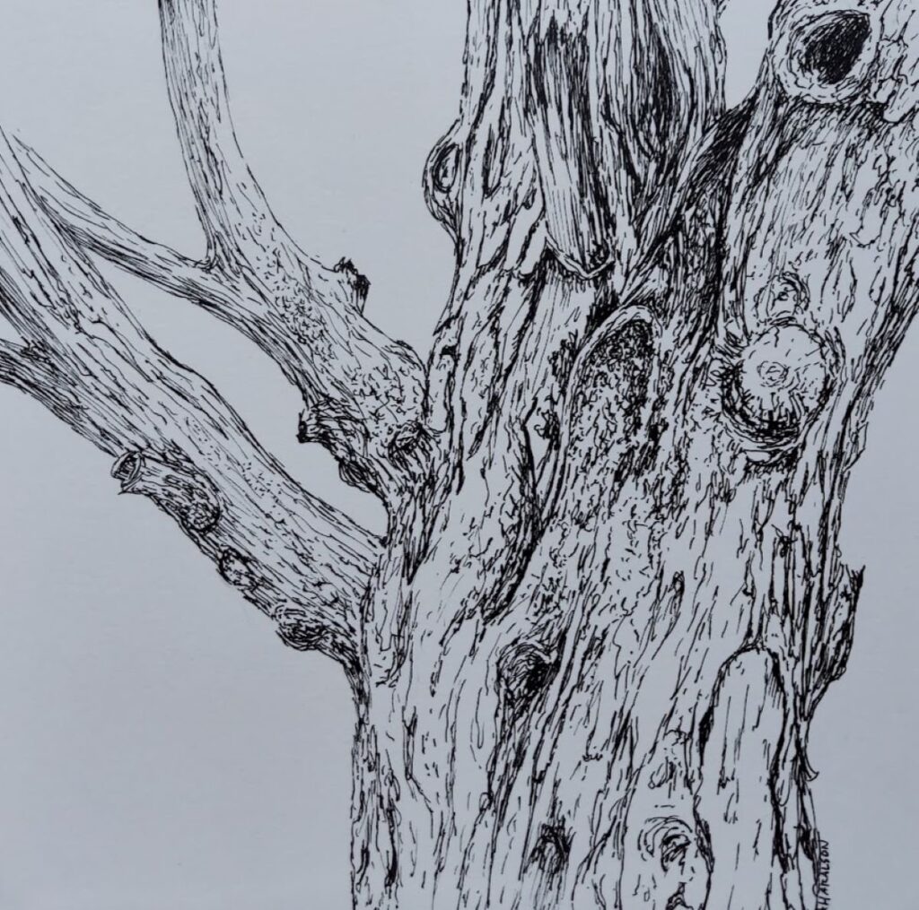 Annemiek Haralson&nbsp;• <em>Cuts and Bruises</em>&nbsp;• Pen on paper&nbsp;• 6″×&nbsp;6″&nbsp;• $75.00