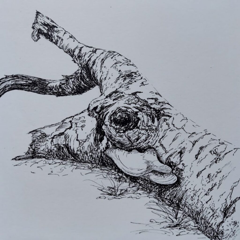 Annemiek Haralson&nbsp;• <em>Mushrooms on a Log</em>&nbsp;• Pen on paper&nbsp;• 6″×&nbsp;6″&nbsp;• $75.00