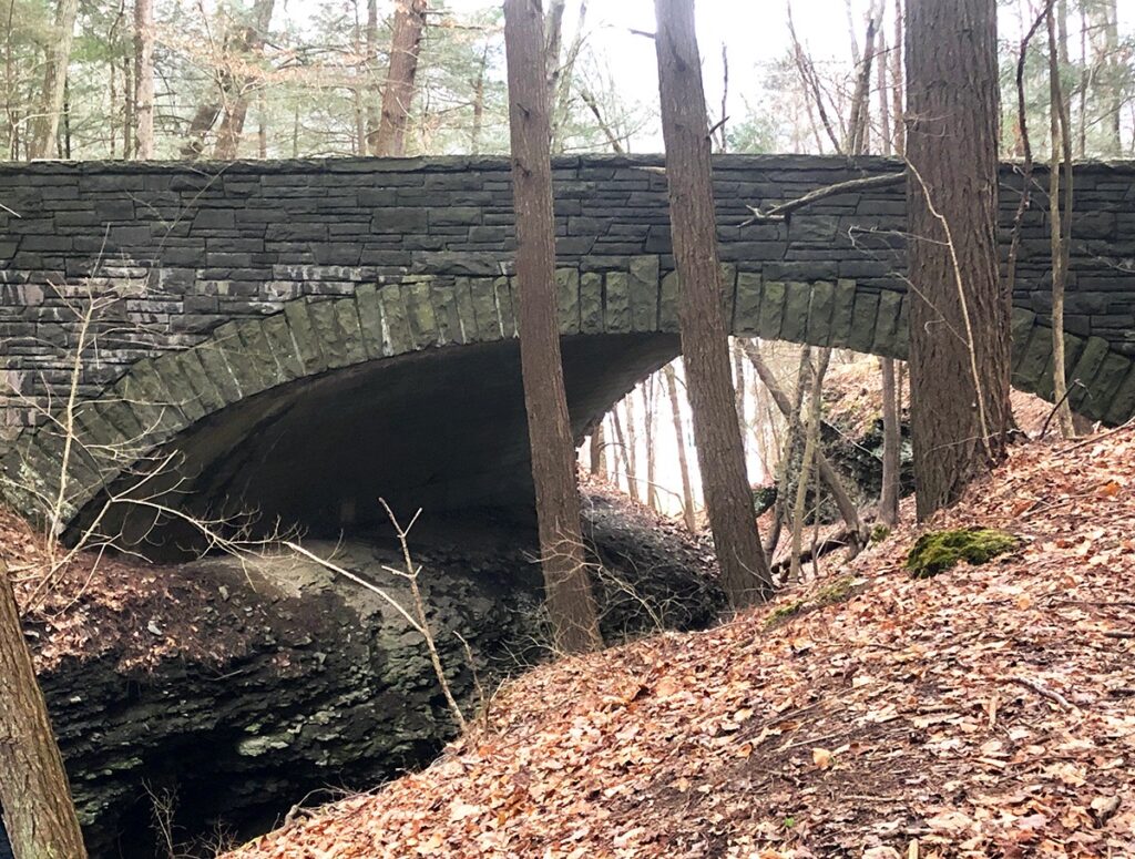 Eva M. Capobianco&nbsp;• <em>Buttermilk Falls State Park, January, 2021</em>&nbsp;• Digital photo&nbsp;• 11″×&nbsp;8½″&nbsp;• $85.00