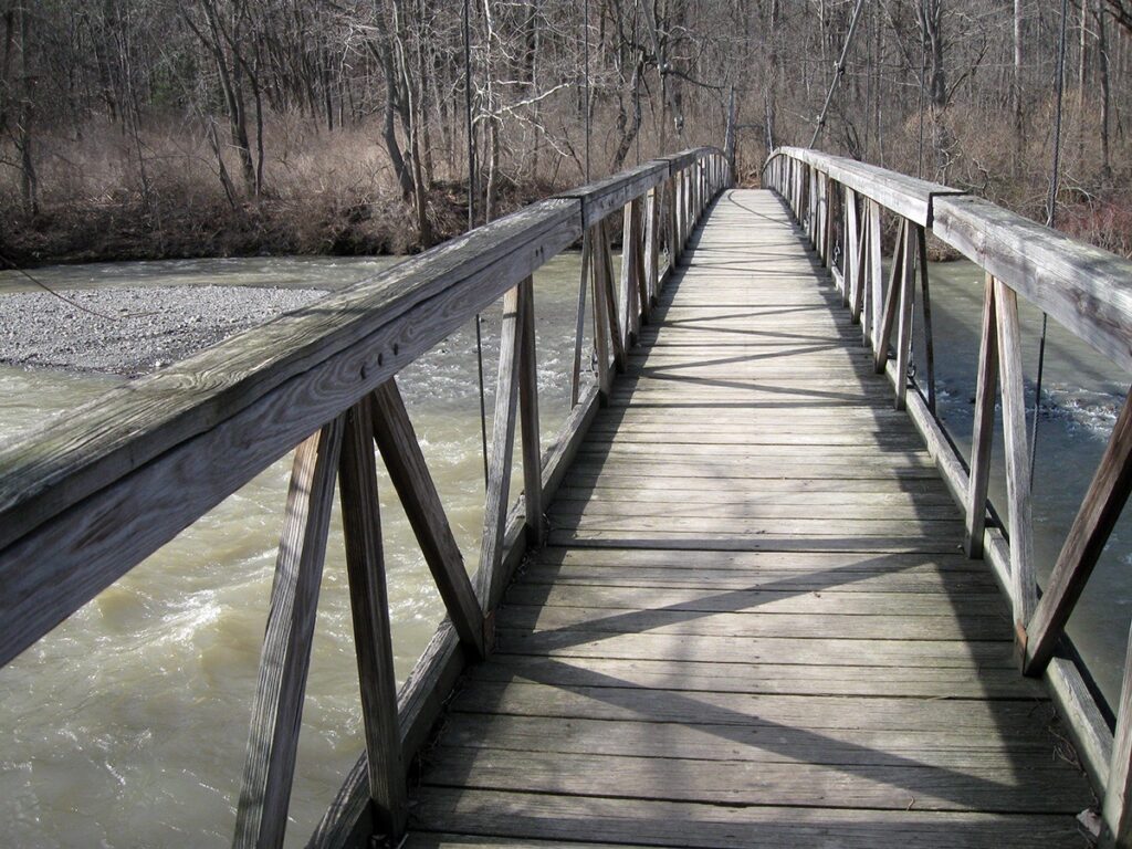 Eva M. Capobianco&nbsp;• <em>Suspension Bridge at Flat Rocks, March, 2011</em>&nbsp;• Digital photo&nbsp;• 11″×&nbsp;8½″&nbsp;• $85.00