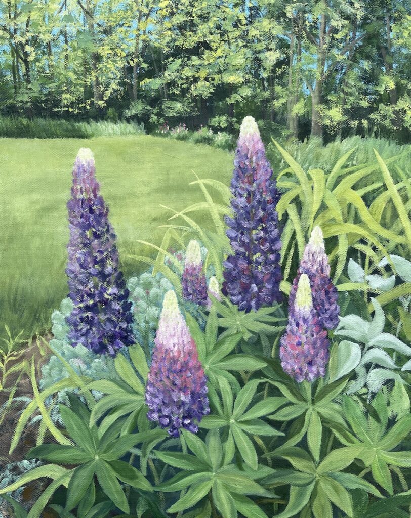Patty L Porter&nbsp;• <em>Lupines</em>&nbsp;• Oil on canvas&nbsp;• 16″×&nbsp;20″&nbsp;• $600.00