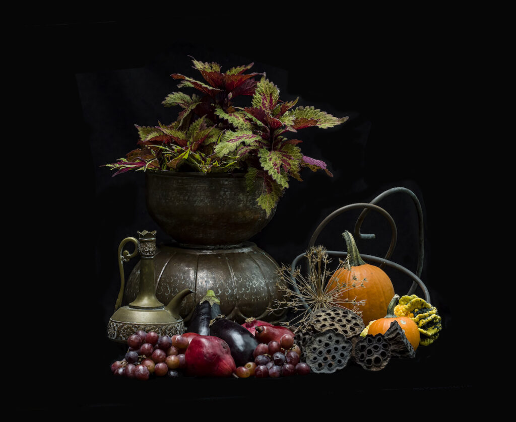 Nancy Ridenour&nbsp;• <em>November Still Life</em>&nbsp;• Digital image on canvas&nbsp;• 30″×&nbsp;20″&nbsp;• $195.00