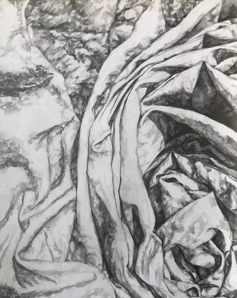 Meredith Waropay&nbsp;• <em>Twisted</em>&nbsp;• Graphite&nbsp;• 16″×&nbsp;20″&nbsp;• NFS