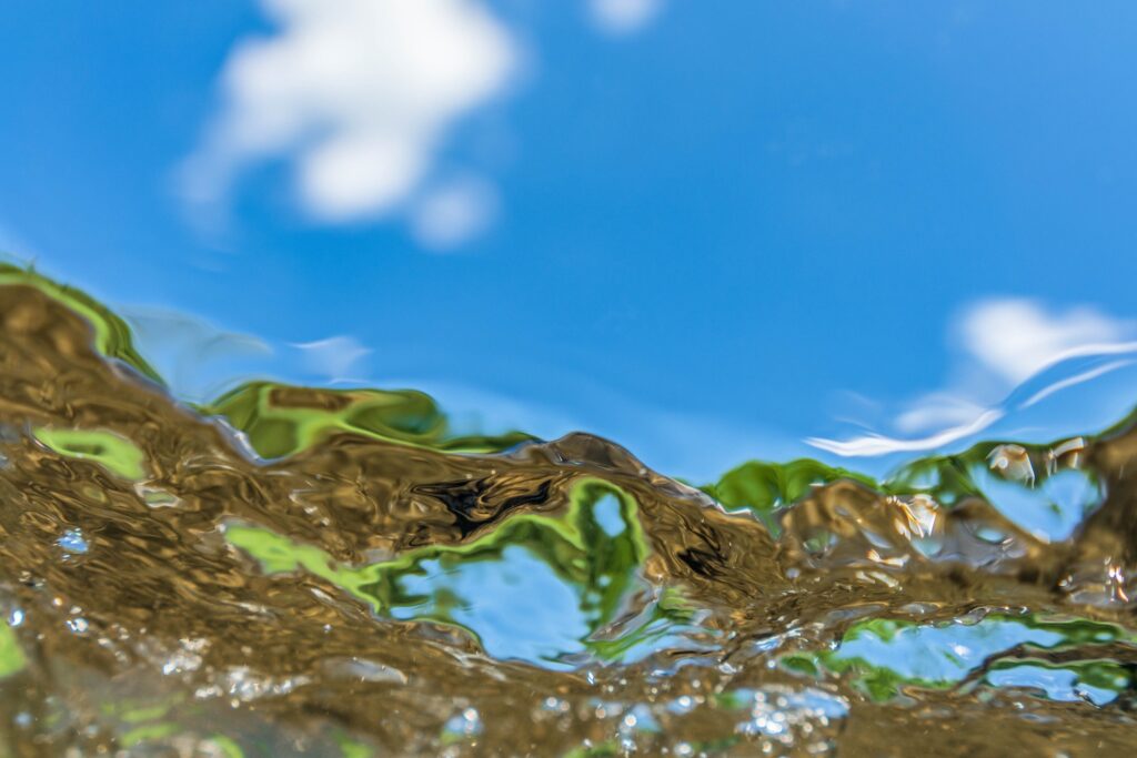 David Brown&nbsp;• <em>Surfacing I</em>&nbsp;• Photo on canvas, triptych&nbsp;• 54″×&nbsp;36″&nbsp;• $600.00