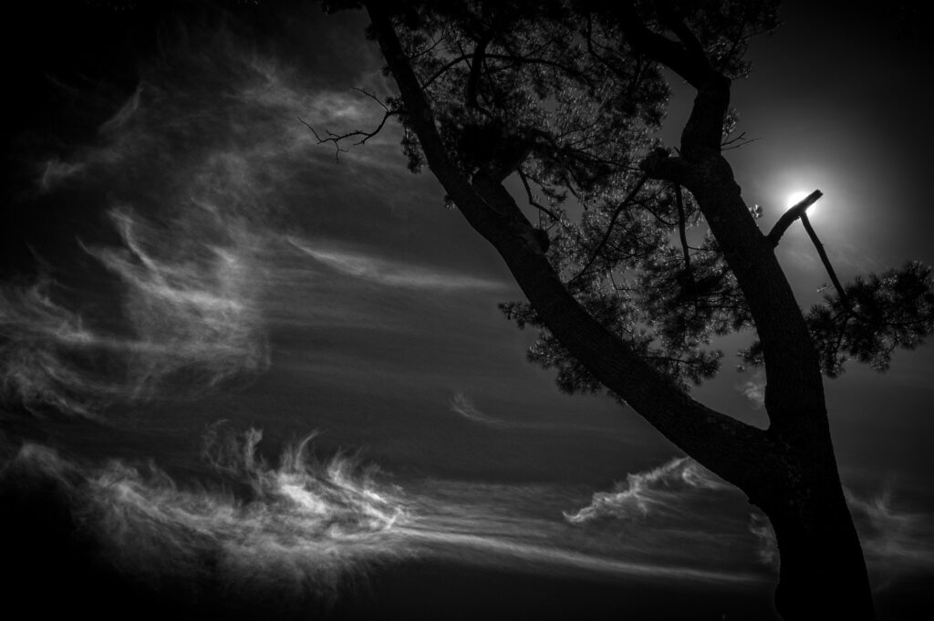 Ray Helmke&nbsp;• <em>Light</em>&nbsp;• Archival inkjet print&nbsp;• 20½″×&nbsp;14½″&nbsp;• $200.00
