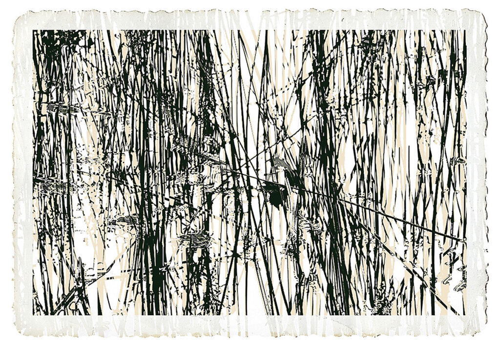 David Watkins Jr&nbsp;• <em>Reeds Double Exposed</em>&nbsp;• Archival pigment print&nbsp;• 13″×&nbsp;9″&nbsp;• $185.00