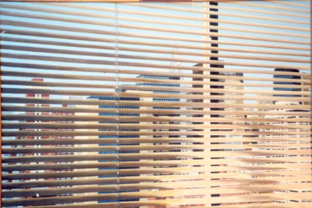 Richard Rosenbaum&nbsp;• <em>View Thru the Blinds</em>&nbsp;• Oil on canvas&nbsp;• 36″×&nbsp;24″&nbsp;• $10,000.00