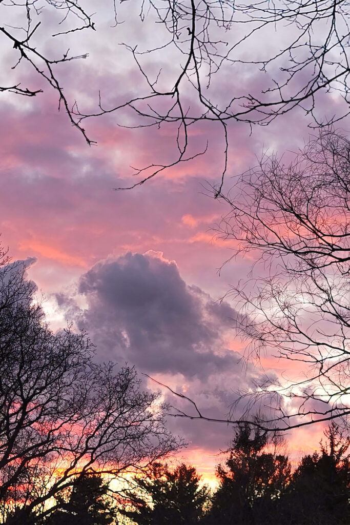 Nancy Ridenour&nbsp;• <em>Sunset 1</em>&nbsp;• Digital image on canvas&nbsp;• 20″×&nbsp;24″&nbsp;• $175.00