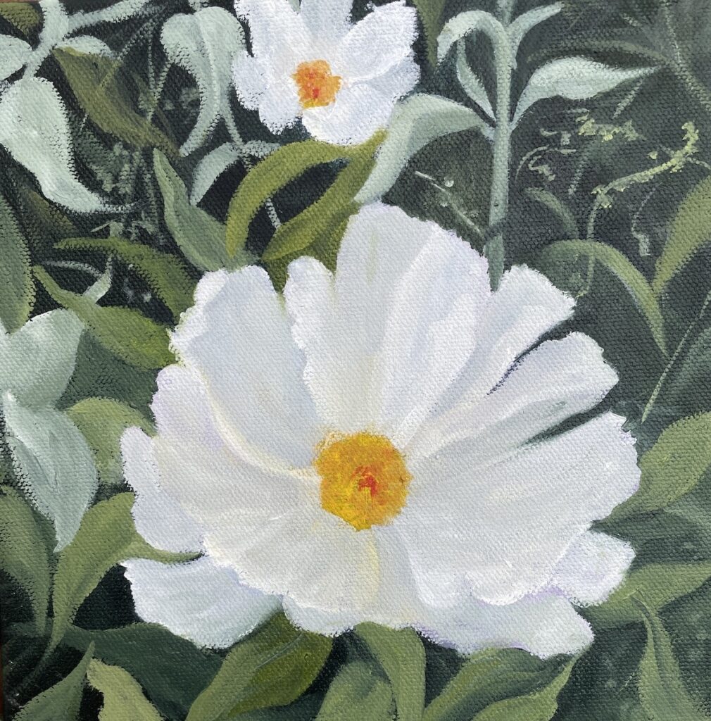 Patty L Porter&nbsp;• <em>Spring Delight ~ Peony II</em>&nbsp;• Oil on canvas&nbsp;• 8″×&nbsp;8″&nbsp;• $140.00