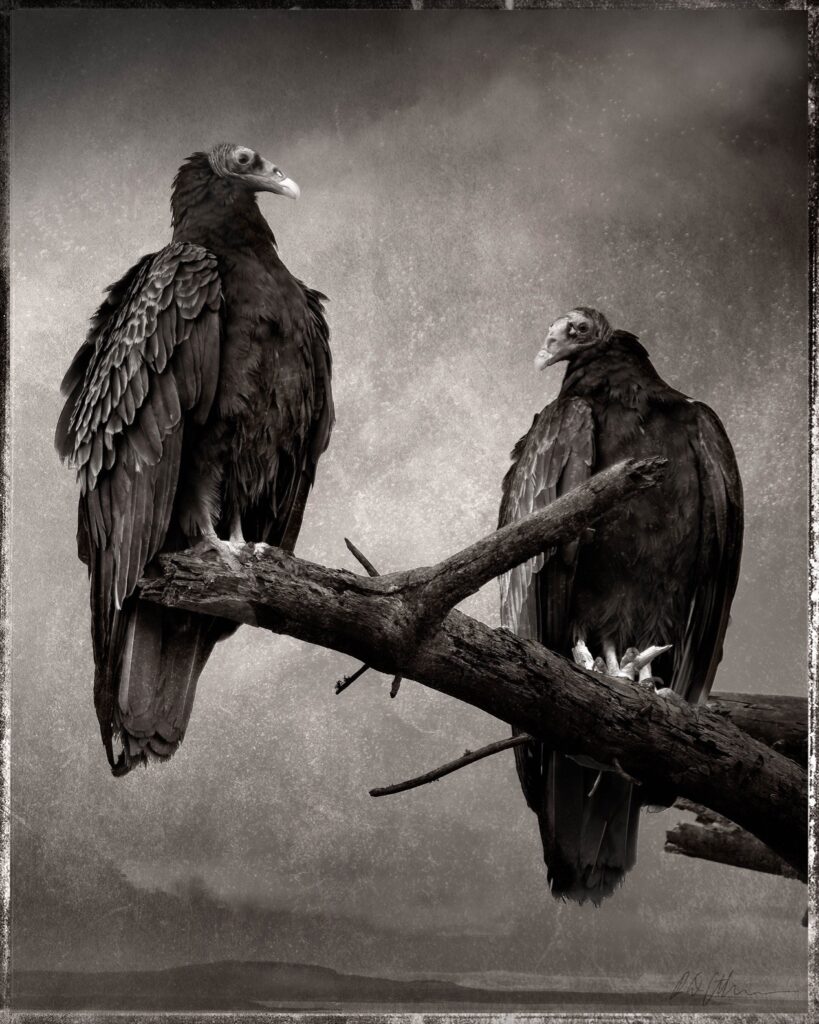 Robert David Atkinson&nbsp;• <em>The Waiting</em>&nbsp;• Giclée fine art print&nbsp;• 12″×&nbsp;16″&nbsp;• $850.00