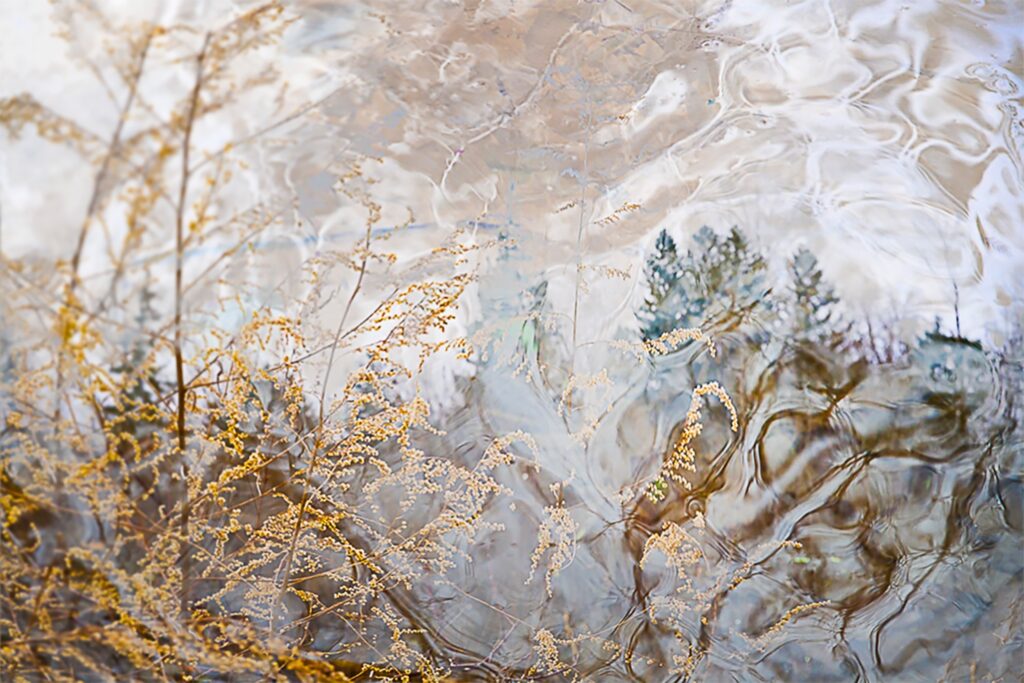 Audrey Hamilton&nbsp;• <em>Dipping Into Spring</em>&nbsp;• Aluminum frame/silver/ with glass&nbsp;• 18″×&nbsp;12″&nbsp;• $700.00