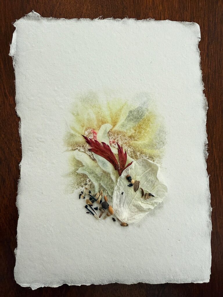 Randi Millman-Brown&nbsp;• <em>Memory</em>&nbsp;• Photo transfer on handmade watercolor paper, dried fullmoon maple leaf, orchid petal and seeds&nbsp;• 5″×&nbsp;7″&nbsp;• $200.00