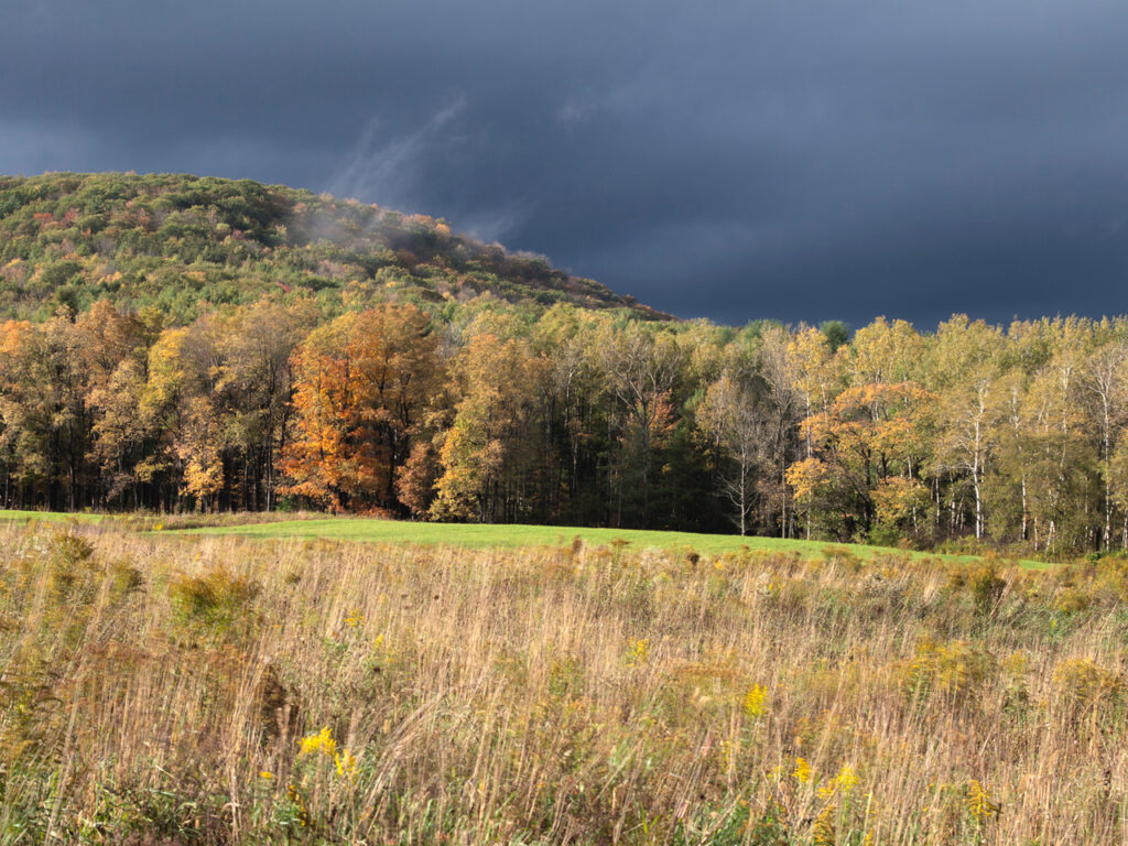 Susan C. Larkin&nbsp;• <em>Goetchius Preserve in Caroline</em>&nbsp;• Archival pigment print&nbsp;• 24″×&nbsp;20″&nbsp;• $300.00