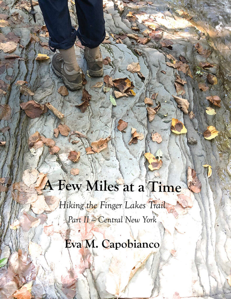 Eva M. Capobianco&nbsp;• <em>A Few Miles at a Time, Part 2</em>&nbsp;• Full color book, 60 pages&nbsp;• 10¾″×&nbsp;8¼″&nbsp;• $18.00<a class="purchase" href="https://state-of-the-art-gallery.square.site/product/eva-m-capobianco-a-few-miles-at-a-time-part-2/4PLYF2VIR2O5FDTFQPSIAIYW" target="_blank">Buy</a>