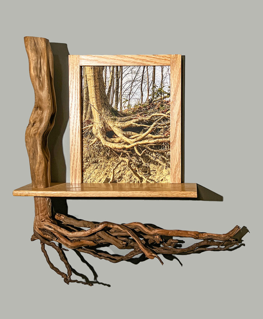 Eva M. Capobianco&nbsp;• <em>Map 17 - Tree Roots</em>&nbsp;• Photo, found & reused wood&nbsp;• 22″×&nbsp;20″×&nbsp;5″&nbsp;• $475.00