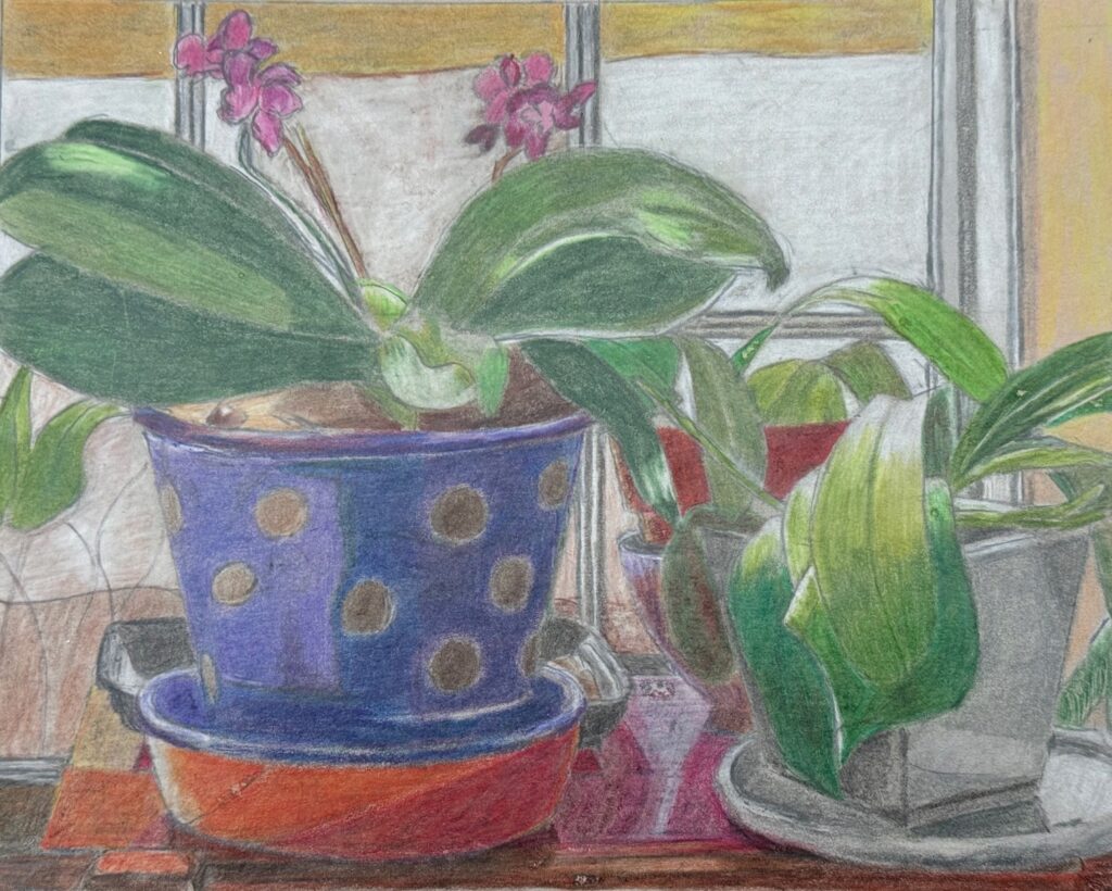 Gale Halpern&nbsp;• <em>My Orchid Collection</em>&nbsp;• Colored pencil on toned paper&nbsp;• 9¾″×&nbsp;7¾″&nbsp;• $180.00