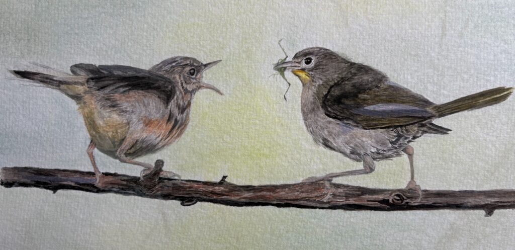 Gail Norwood&nbsp;• <em>Feeding Time</em>&nbsp;• Gouche on paper&nbsp;• 12″×&nbsp;14″&nbsp;• $130.00