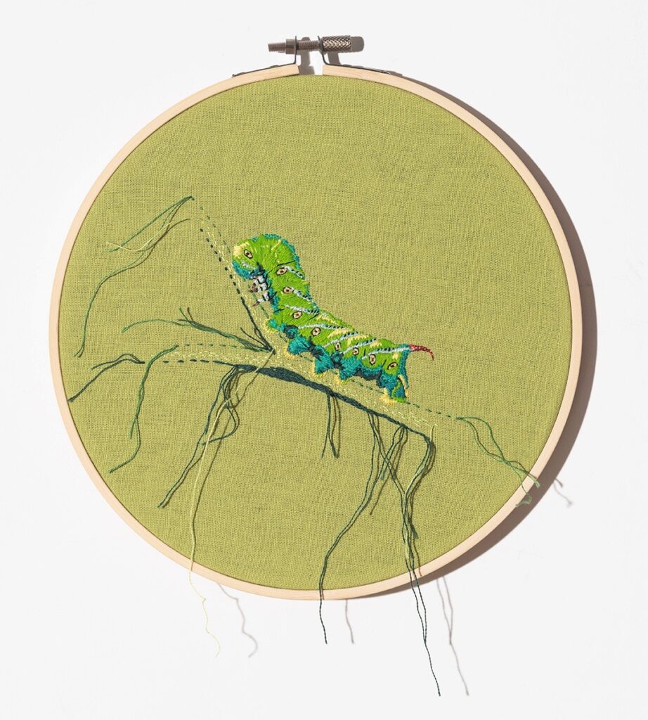 Dara Engler&nbsp;• <em>Hornworm</em>&nbsp;• Embroidery on fabric&nbsp;• 8″×&nbsp;8″&nbsp;• $500.00<a class="purchase" href="https://state-of-the-art-gallery.square.site/product/dara-engler-hornworm/YAT54CDSIFI472ZNS4NZDNND" target="_blank">Buy</a>
