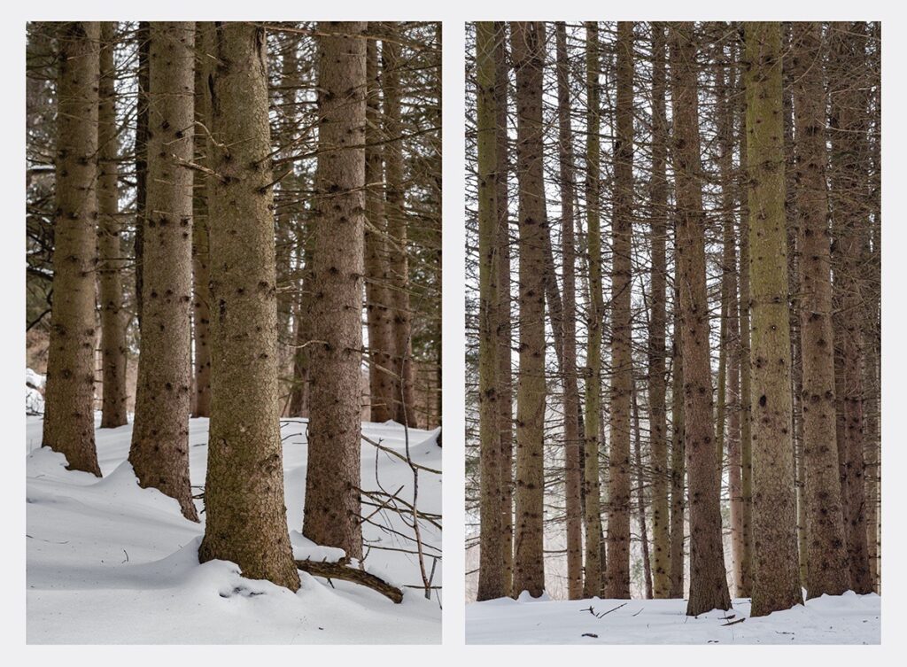 Lindsey Glover&nbsp;• <em>Columns (Diptych)</em>&nbsp;• Digital pigment prints on Moab Entrada paper&nbsp;• 24″×&nbsp;18″&nbsp;• $1,600.00<a class="purchase" href="https://state-of-the-art-gallery.square.site/product/lindsey-glover-columns-diptych-/5BZJYCY4KXRE5R4SD5VV5BDP" target="_blank">Buy</a>