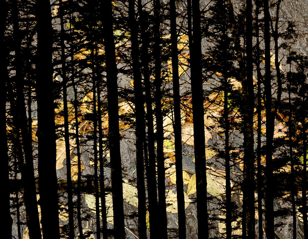 David Watkins&nbsp;• <em>One or the Other</em>&nbsp;• Archival pigment print, framed and matted&nbsp;• 24″×&nbsp;20″&nbsp;• $235.00