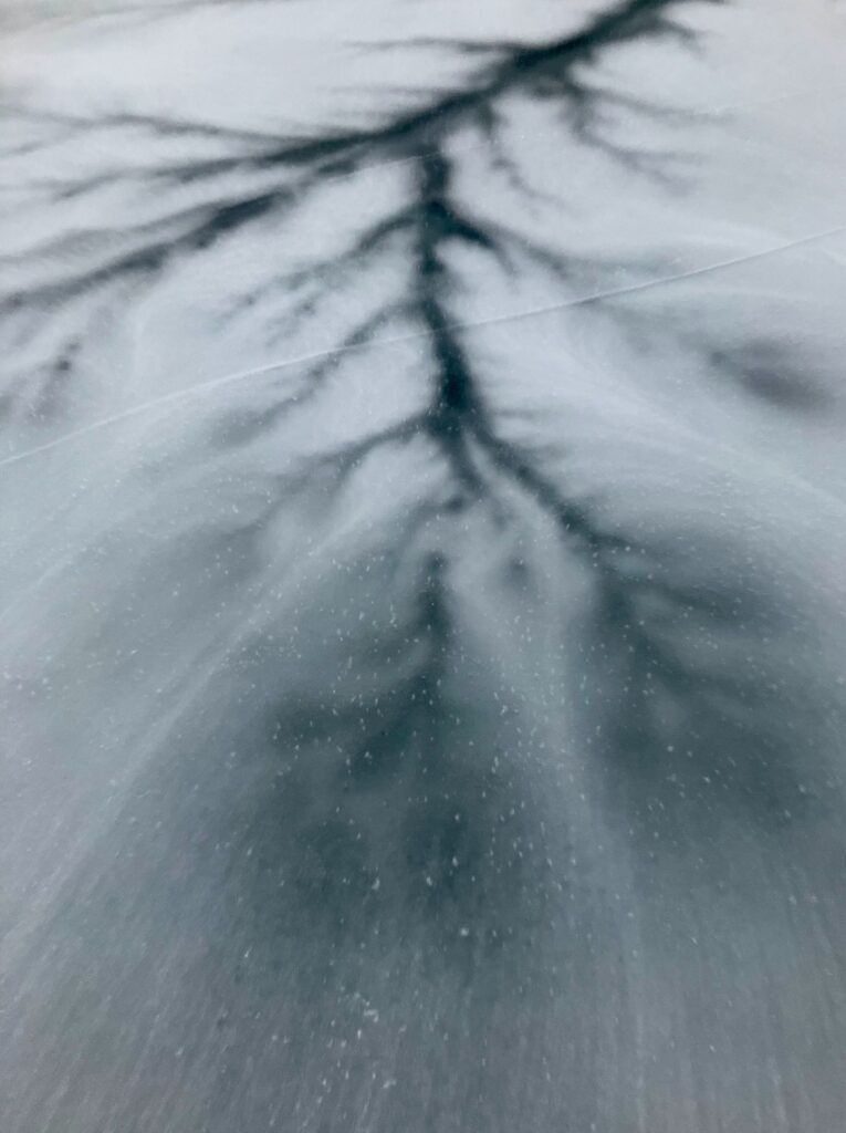 Allen Carlson&nbsp;• <em>Winter Residuals, Crack</em>&nbsp;• Digital print&nbsp;• 9″×&nbsp;12″&nbsp;• $180.00