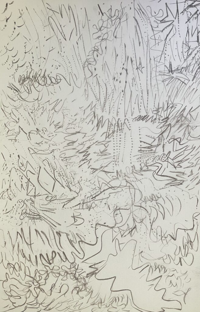 Ray Foody&nbsp;• <em>In The Woods I</em>&nbsp;• Charcoal and graphite on paper, matted and framed to 18 x 23&nbsp;• 11″×&nbsp;17″&nbsp;• $285.00<a class="purchase" href="https://state-of-the-art-gallery.square.site/product/ray-foody-in-the-woods-i/CWQIZESQEUYQ4CL3KM7RN2QP" target="_blank">Buy</a>